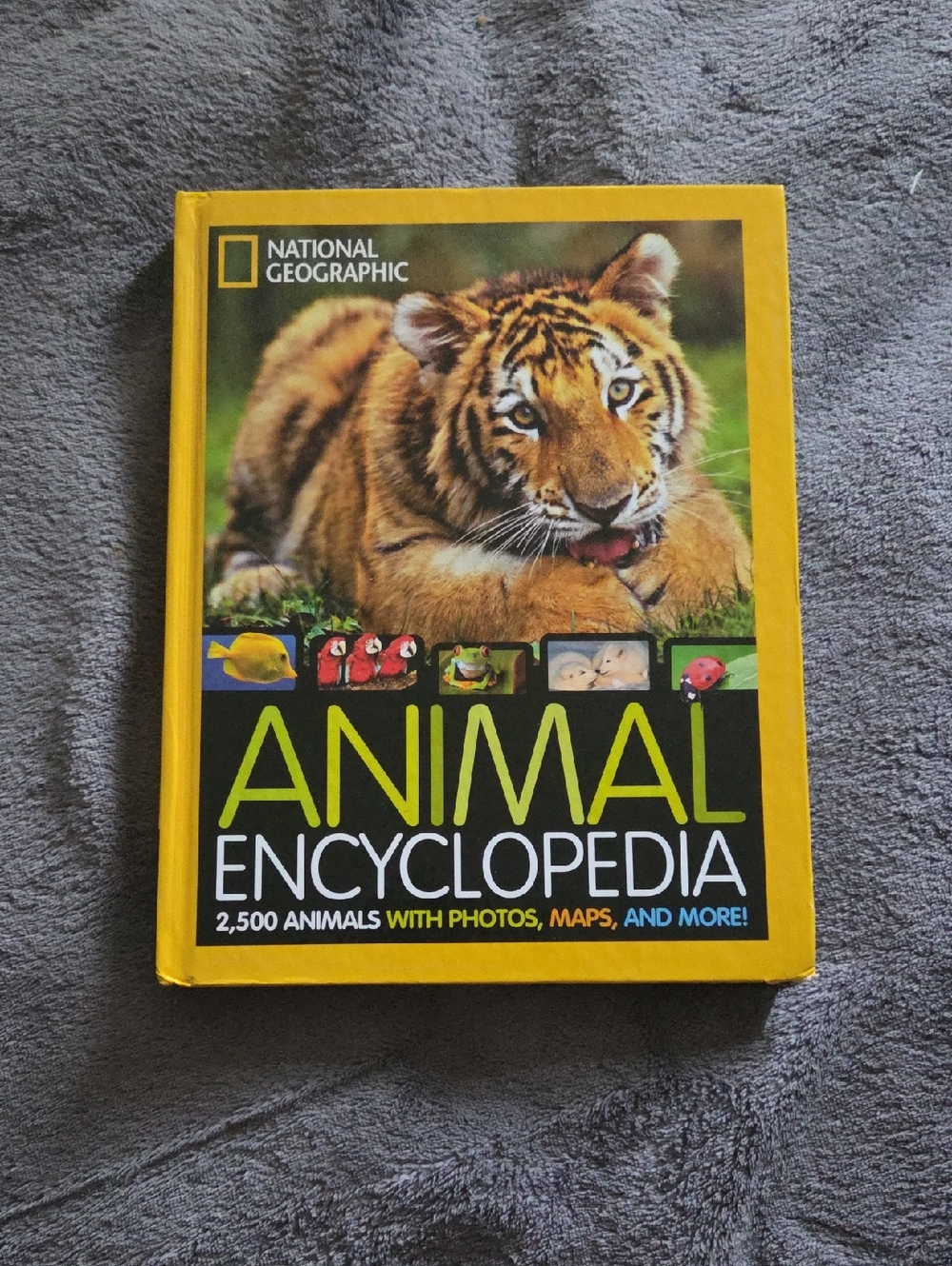 National Geographic Yellow Animal Encyclopedia with Tiger Cover